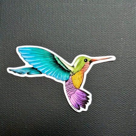 Hummingbird Vinyl Sticker