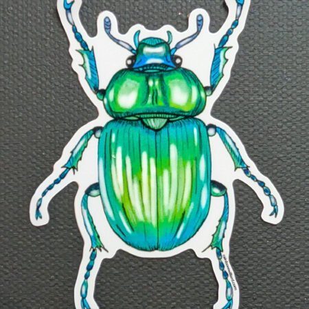Beetle Vinyl Sticker