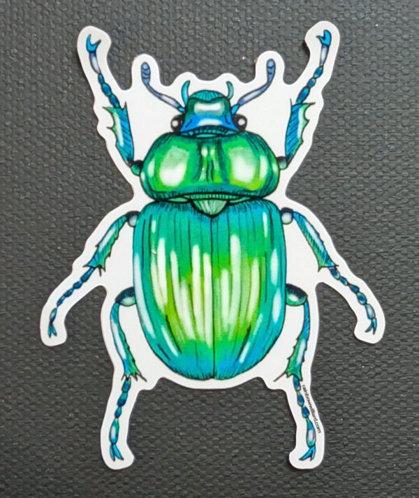 Beetle Vinyl Sticker