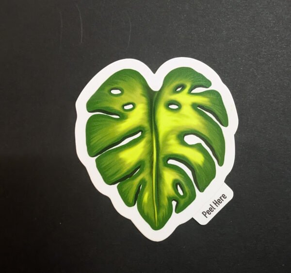 Monstera Leaf Sticker
