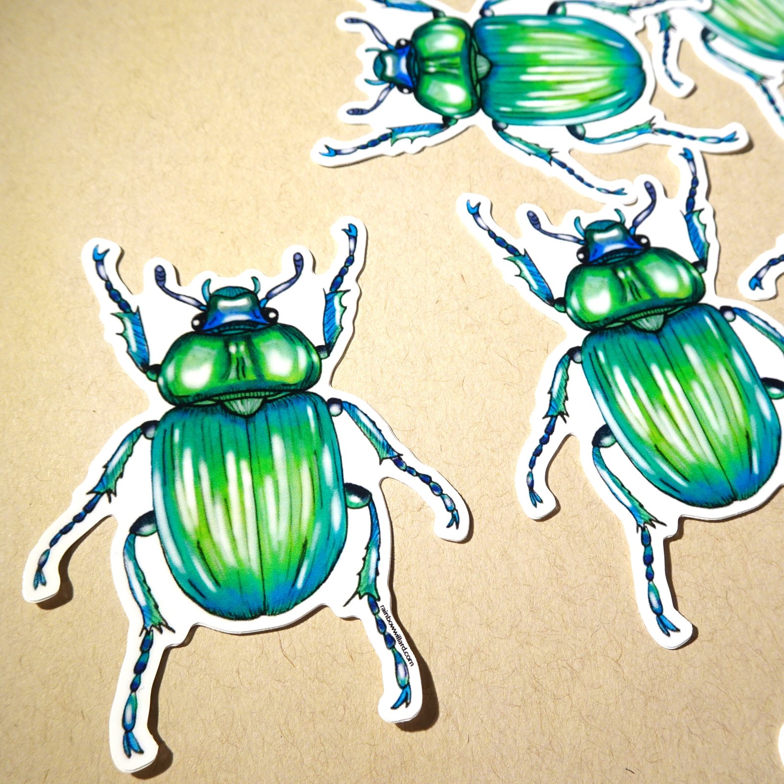 Beetle Vinyl Sticker
