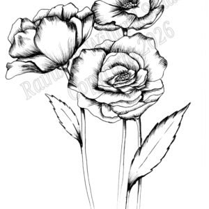 Black & White Poppies Print