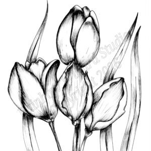 Black & White Tulips Print