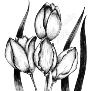 Black & White Tulip Print