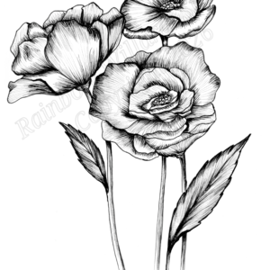 Black & White Poppy Print