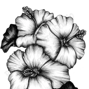 Black & White Hibiscus Print