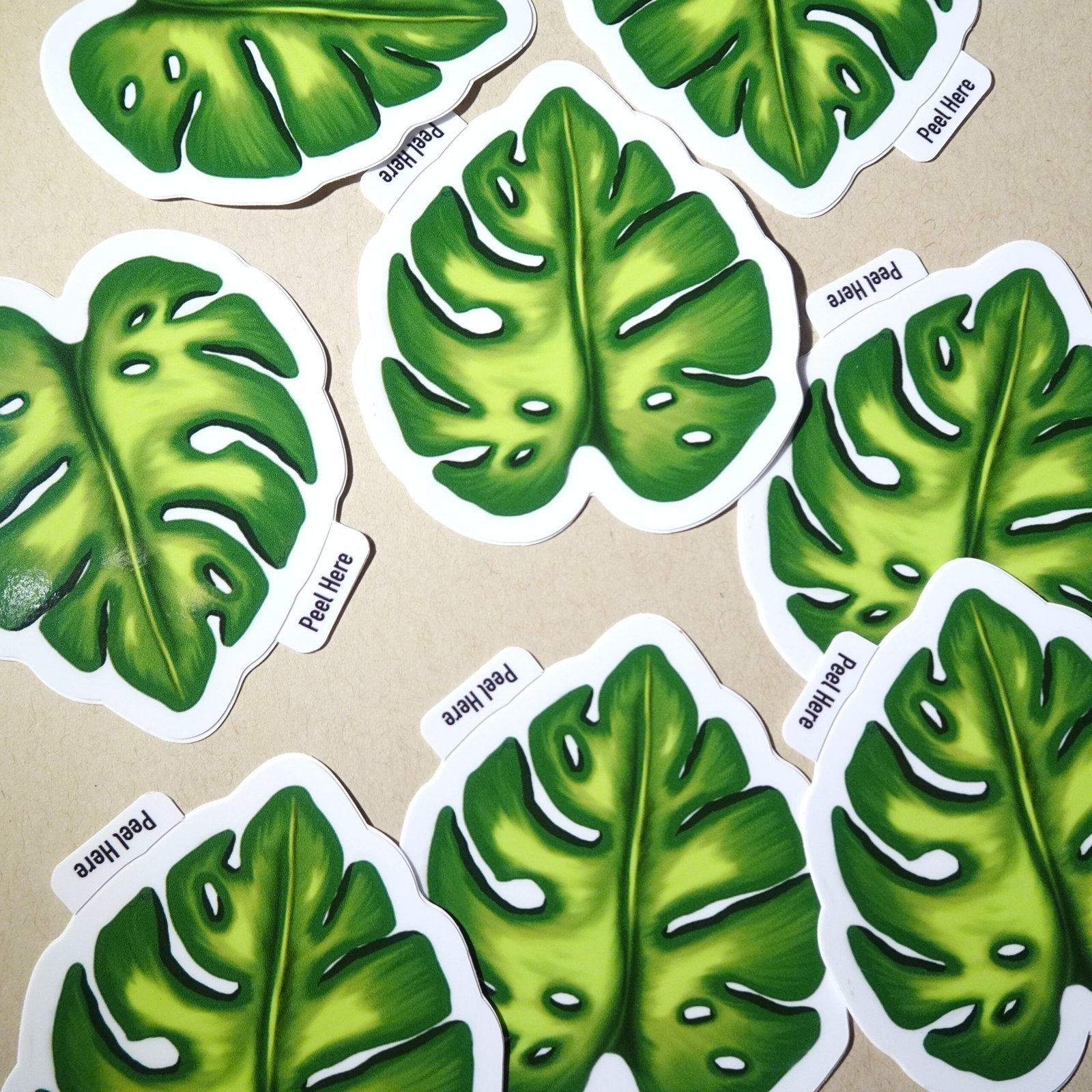 Monstera Leaf Sticker