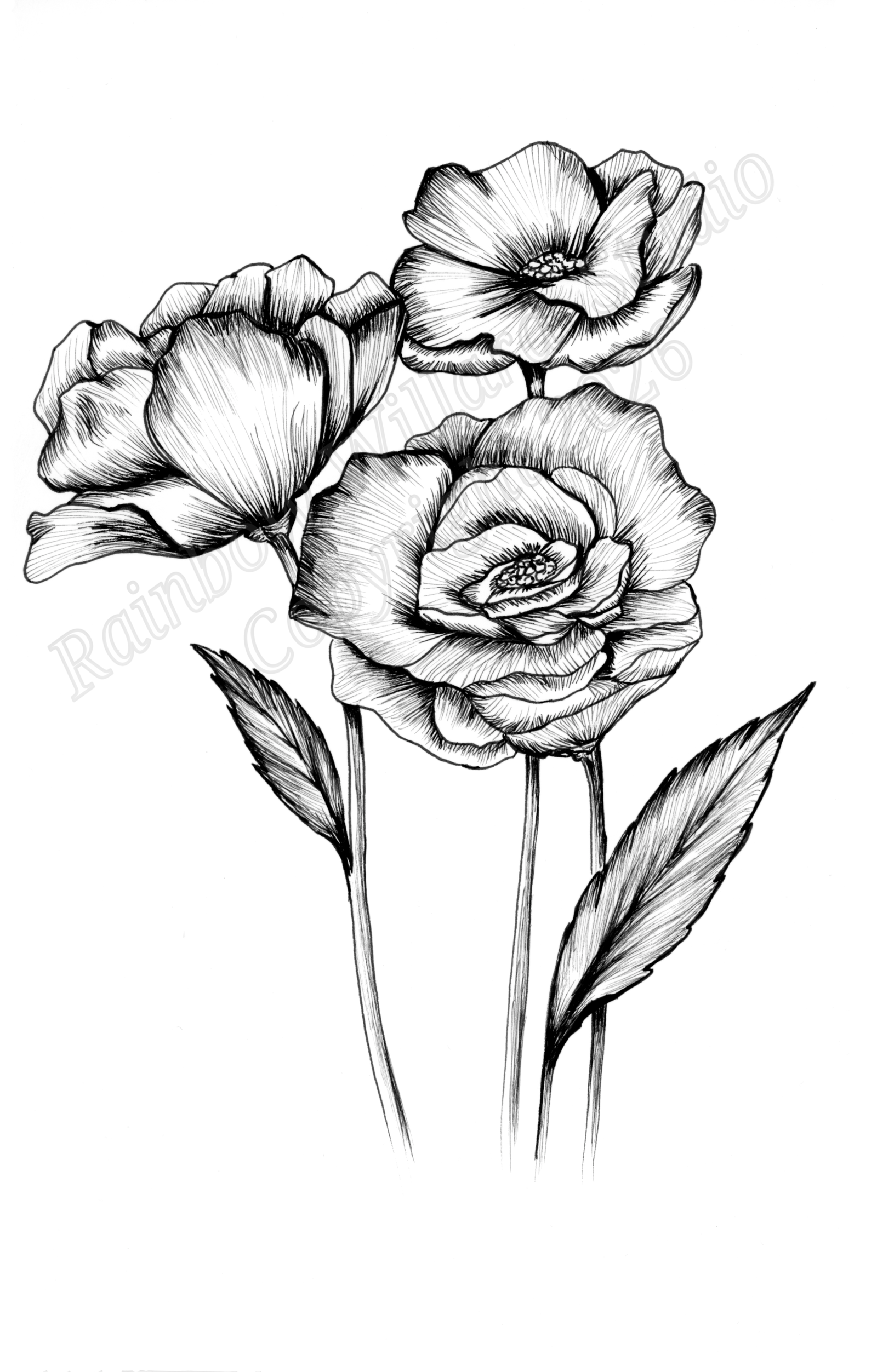 Black & White Poppy Print