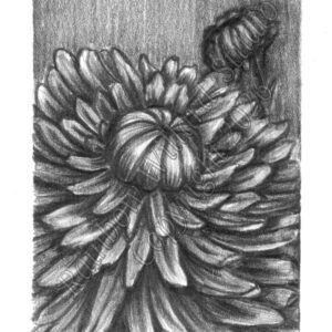 Possibility Mini Original Drawing