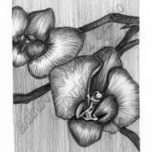 Showgirls Mini Original Drawing