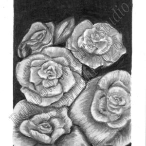 Gathered Mini Original Drawing